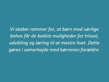 Specialklyngens kerneopgave